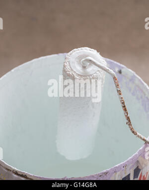 Set pour la peinture seau de rouleau de peinture blanche Banque D'Images