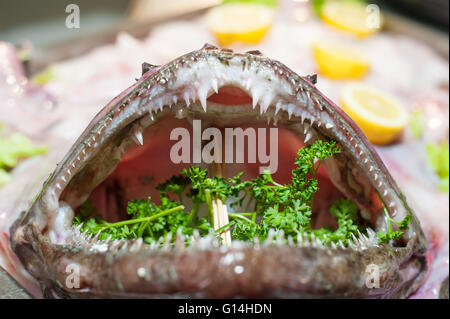 Gros plan effrayant bouche lotte avec dents préparées en restaurant avec persil et citron vert Banque D'Images