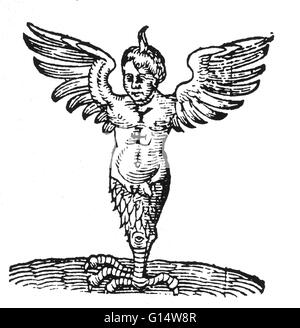 Gravure sur bois de la "Monster" de Ravenne Des Monstres et prodiges d'Ambroise Paré, 1573. Des monstres est rempli avec des comptes du sea devils, truies, marine et d'animaux monstrueux avec des visages humains. Fort de son examen de la reproduction d'un Banque D'Images
