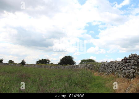 Rathgall mur de pierre Fortin dans le comté de Wicklow, Irlande Banque D'Images