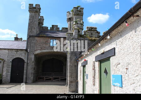 Duckett's Grove House, une ruine du 19ème siècle grande maison et ancien domaine dans le comté de Carlow, Irlande. Banque D'Images