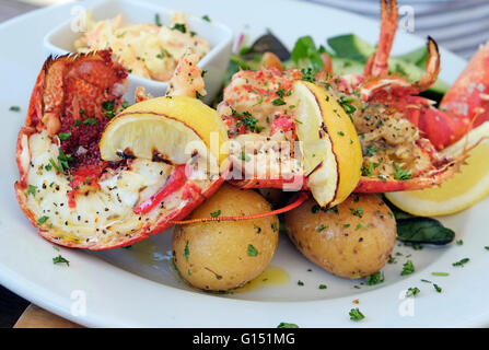 Déjeuner au homard stiffkey red lion public house, North Norfolk, Angleterre Banque D'Images