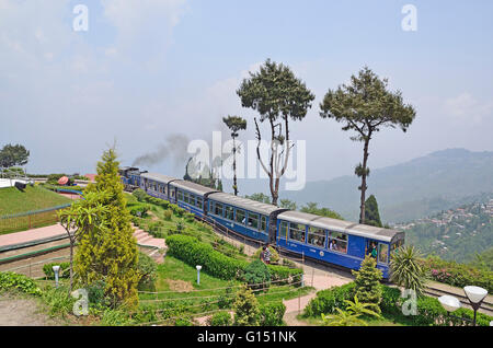 Locomotive vapeur transporté Darjeeling Himalayan Railway à Batasia Loop, Darjeeling, de l'Est de l'Himalaya, dans l'ouest du Bengale Banque D'Images