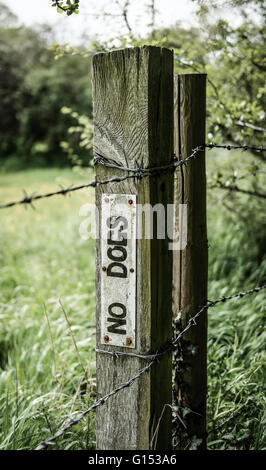 Improvisé aucun signe d'avertissement de chiens vu attaché au bord d'un champ de fermiers dans lequel les moutons se broutent pendant l'été. Banque D'Images