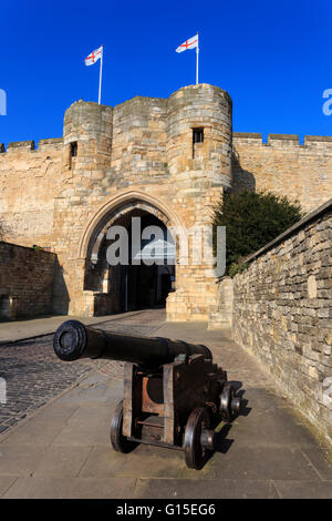 Cannon, Château de Lincoln, maison historique de la Magna Carta, quartier de la cathédrale, de la ville de Lincoln, Lincolnshire, Angleterre, Royaume-Uni Banque D'Images