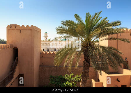 Remparts, palmier et vue de mosquée, Taqah (Taqa) Château fort museum, près de Salalah Dhofar, région, le sud de l'Oman, Middle East Banque D'Images