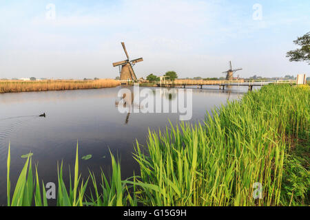 Les moulins à vent les trames de l'herbe verte reflétée dans le canal, Kinderdijk, Rotterdam, Hollande méridionale, Pays-Bas, Europe Banque D'Images