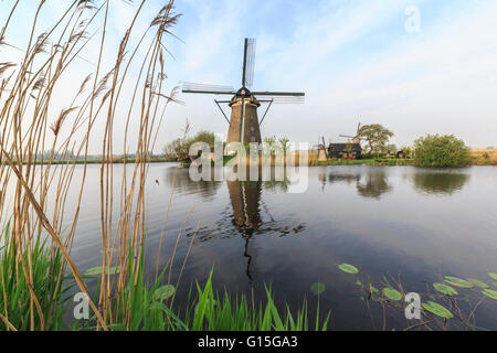 Les moulins à vent les trames de l'herbe verte reflétée dans le canal, Kinderdijk, Rotterdam, Hollande méridionale, Pays-Bas, Europe Banque D'Images