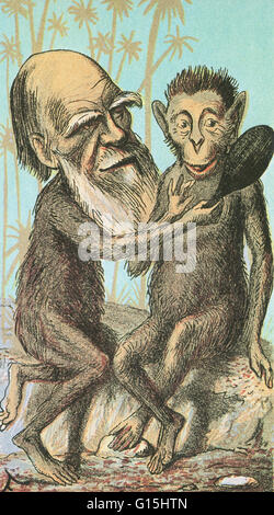 Illustration de Charles Darwin montrant un singe comment la paire d'entre eux le sont. Darwin (1809-1882) a suggéré que la variation naturelle dans une espèce crée un large éventail de caractéristiques individuelles dont certaines sont plus utiles que d'autres. À la concurrence Banque D'Images