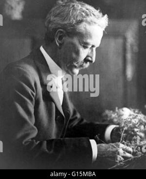 Luther Burbank (7 mars 1849 - 11 avril 1926) était un botaniste, horticulteur et un pionnier de la science agricole. Il a développé plus de 800 lignées et variétés de plantes pendant ses 55 ans de carrière. Burbank's creations varié inclus les fruits, Banque D'Images