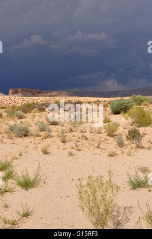 UT desert avec ciel d'orage Banque D'Images