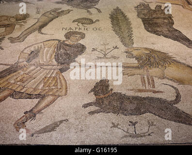 Hatay, Turquie - 24 juin 2015 : expositions Mosaïque à New Madrid Musée d'archéologie, la Turquie. Collection de mosaïques datant de l'époque romaine dans les 2e et 3e siècles Banque D'Images