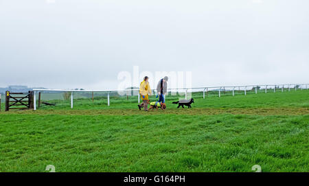 Brighton, UK. 10 mai, 2016. Les promeneurs de chiens Brighton Racecourse cross sous la pluie ce matin que le temps humide balaie le sud de la Grande-Bretagne alors que l'Écosse reste chaude et ensoleillée Crédit : Simon Dack/Alamy Live News Banque D'Images