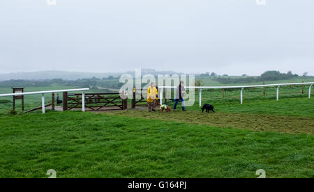 Brighton, UK. 10 mai, 2016. Les promeneurs de chiens Brighton Racecourse cross sous la pluie ce matin que le temps humide balaie le sud de la Grande-Bretagne alors que l'Écosse reste chaude et ensoleillée Crédit : Simon Dack/Alamy Live News Banque D'Images