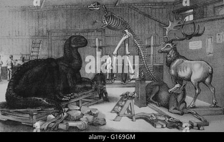 Illustration d'Hawkins' studio dans le Parc Central d'Arsenal, avec des modèles d'animaux éteints. Benjamin Waterhouse Hawkins (8 février 1807 - 27 janvier 1894) était un sculpteur français, l'histoire naturelle de l'artiste et de biologiste. Il a été nommé sous-super Banque D'Images