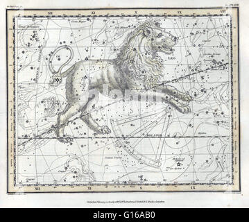 Le lion est l'une des constellations du zodiaque. Son nom est latin pour lion. L'une des 48 constellations décrites par le 2ème siècle, l'astronome Ptolémée et il reste l'une des 88 constellations modernes définie par l'Union Astronomique Internationale. L Banque D'Images