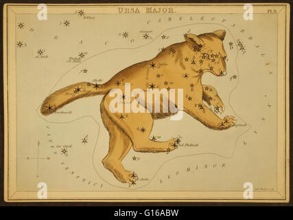 Tableau montrant un ours astronomiques formant la constellation. La Grande Ourse, également connu sous le nom de la Grande Ourse, est une constellation visible tout au long de l'année dans la plupart de l'hémisphère nord. Il a été l'une des 48 constellations répertoriées par le 2ème siècle astrono Banque D'Images