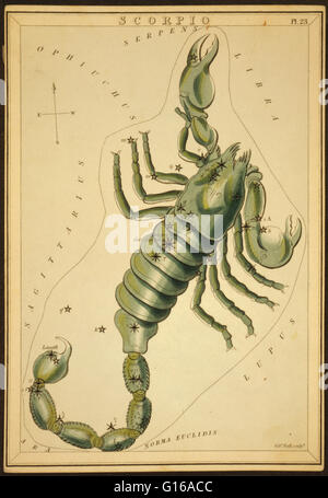 Tableau montrant un scorpion astronomiques formant la constellation. Scorpius, parfois connu sous le nom de Scorpion, est l'une des constellations du zodiaque. Son nom est latin pour scorpion. C'est l'une des 48 constellations décrites par l'astronome 2e siècle P Banque D'Images