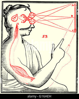 Gravure sur bois d'yeux sur une figure humaine, représenté au-dessus de l'autre et s'est concentré sur une flèche à droite ; étendre les lignes de contact des yeux au milieu et de points terminaux de la flèche ; il indique également partie du cerveau responsable de la réponse automatique. Paru dans 'T Banque D'Images