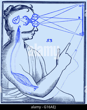 Gravure sur bois d'yeux sur une figure humaine, représenté au-dessus de l'autre et s'est concentré sur une flèche à droite ; étendre les lignes de contact des yeux au milieu et de points terminaux de la flèche ; il indique également partie du cerveau responsable de la réponse automatique. Paru dans 'T Banque D'Images