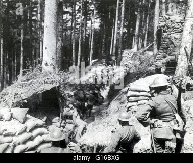 Les troupes américaines sont maintenant une tranchée sur une colline boisée dans les Vosges. La les Vosges forment la principale ligne de frontière entre la France et l'Empire allemand. Au cours de la PREMIÈRE GUERRE MONDIALE, ils ont été le théâtre de combats presque continue et sévère. Au début o Banque D'Images