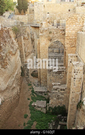 Ruines archéologiques excavés de la piscine de Béthesda et l'Église Byzantine. Situé dans le quartier musulman dans le vieux Jérusalem. Banque D'Images