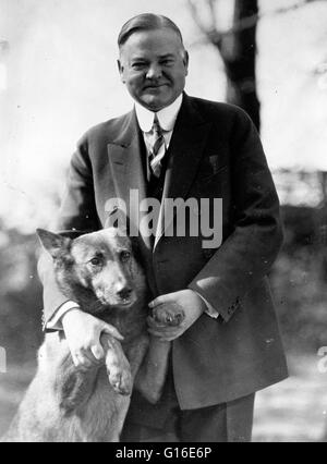 Intitulé : 'Le Président Hoover avec roi Tut.' photographié par le National Photo Company, 1929. Le président Hoover et sa femme Lou étaient authentiques amoureux de chien et à une époque, la Maison Blanche a été la maison pour 9 chiens. King Tut un berger belge qui a été donnée à Hoove Banque D'Images