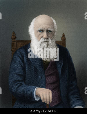 La gravure en ligne de Charles Darwin (1809-1882) à l'âge de 80 ans par Conrad cuisiner après Elliot et Fry. Darwin était un naturaliste et géologue anglais. Il a établi que toutes les espèces de vie sont descendus au fil du temps à partir d'ancêtres communs, et d'une articulation publica Banque D'Images