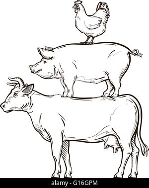 Vache à la main, porc, poulet. vector illustration Illustration de Vecteur