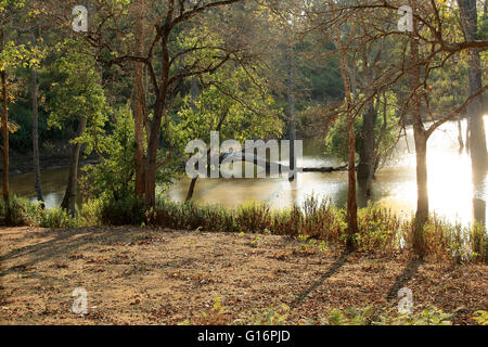 K Gudi Wilderness Camp, B R Hills, Karnataka, Inde Banque D'Images