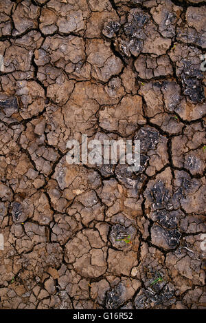 La sécheresse du sol et de la boue des fissures dans la terre ferme, texture naturelle Banque D'Images