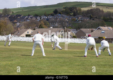 Village anglais de cricket avec bowler offrant à un batteur Banque D'Images