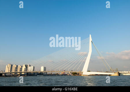 "Le Pont Erasmus Swan' plus de Nouvelle Meuse à Rotterdam, Pays-Bas Banque D'Images