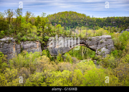 Big South Fork River National Recreation Area et Banque D'Images