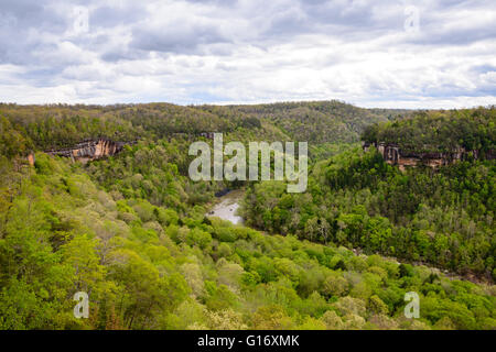 Big South Fork River National Recreation Area et Banque D'Images