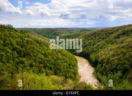 Big South Fork River National Recreation Area et Banque D'Images