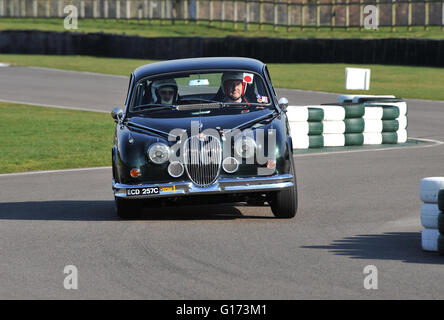 Jaguar Mk2 voiture de course sur la voie à Goodwood Banque D'Images