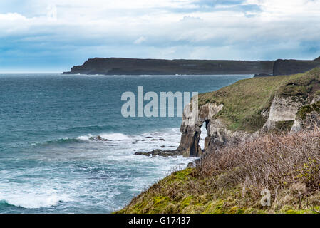 Arch Rock, connu sous le nom de roche de l'éléphant, près de White Rocks Beach, Portrush, co Antrim, en Irlande du Nord. Banque D'Images