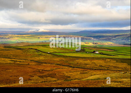 Pen-y-Ghent et fontaines est tombé de Rathmell commun dans le Lancashire, Angleterre Bowland Fells Banque D'Images