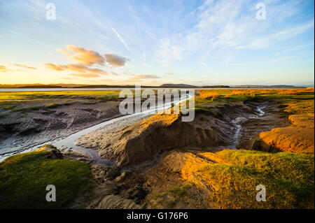 Carte de salt-marsh à côté de l'estuaire de Kent près de Sandside Cumbria face aux Whitbarrow Banque D'Images