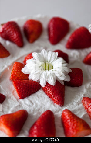 Close up of Strawberry cake avec de la crème de coco et surmonté d'fraises fraîches Banque D'Images