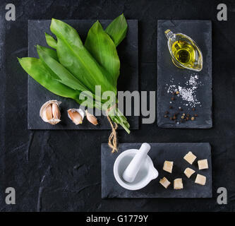 Les ingrédients pour le pesto. Bande de ramson, huile d'olive, le parmesan, l'ail, le sel et le poivre sur des ardoises plus texturé noir Banque D'Images