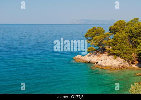 Côte de la mer Adriatique, à proximité de Podgora Croatie, Dalmatie Banque D'Images