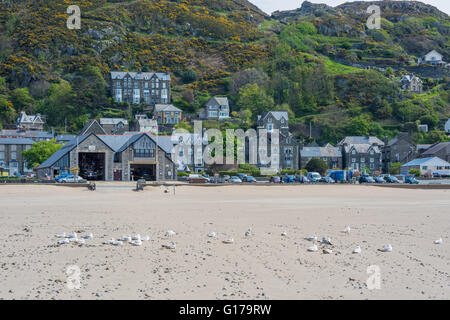 Mouettes sur la plage de Barmouth et le Nord du Pays de Galles Banque D'Images