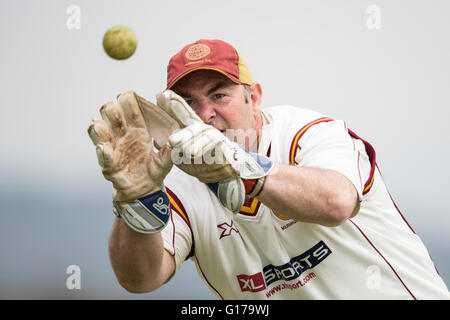 Marnhull CC 1V XI XI, 1ère ville de Poole Tim Horn, Marnhull wicket keeper de pratiquer. Banque D'Images