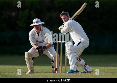 1er CC Marnhull XI v Poole Town 2e XI. Marnhull CC player en action. Banque D'Images