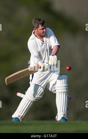 1er CC Marnhull XI v Poole Town 2e XI. Marnhull CC player en action. Banque D'Images