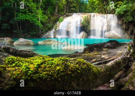 Environnement chute d'Erawan avec grand arbre et des eaux émeraude à Kanchanaburi, Thaïlande Banque D'Images