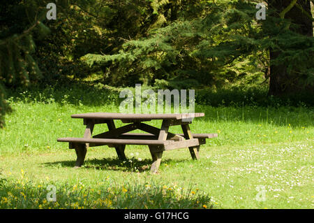 Coin salon banc de pique-nique pour se reposer dans le défrichement des terres forestières Banque D'Images