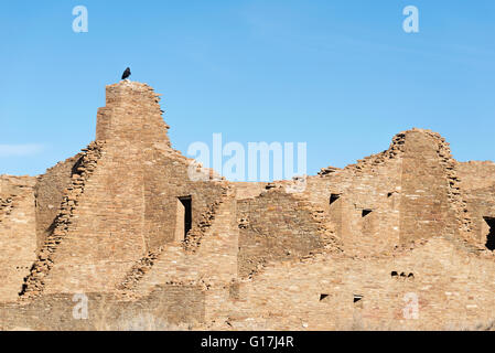 Corbeau sur Pueblo Bonito, Chaco Culture National Historical Park, Nouveau Mexique. Banque D'Images